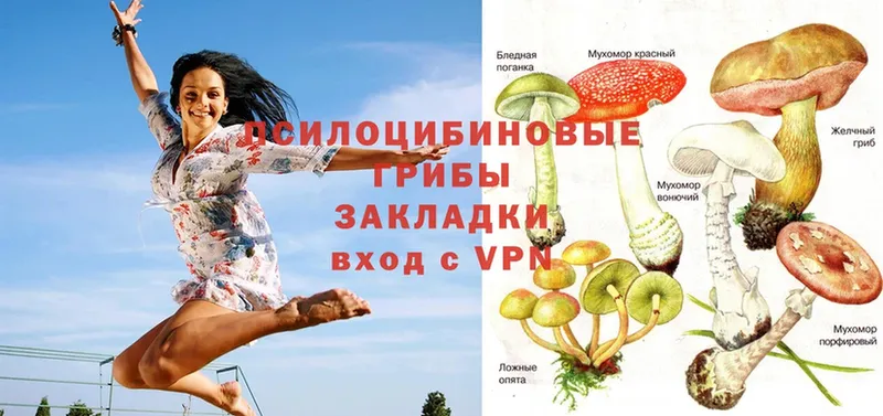 Галлюциногенные грибы MAGIC MUSHROOMS  Прокопьевск 